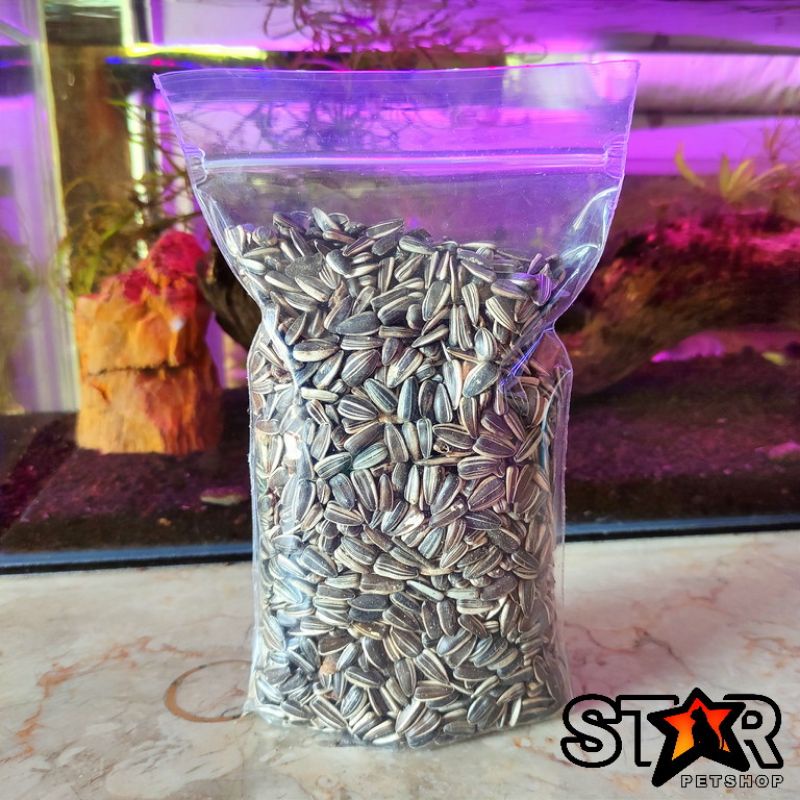 

Biji bunga matahari repack 200gr