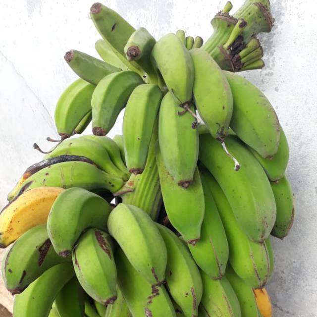 marsipib