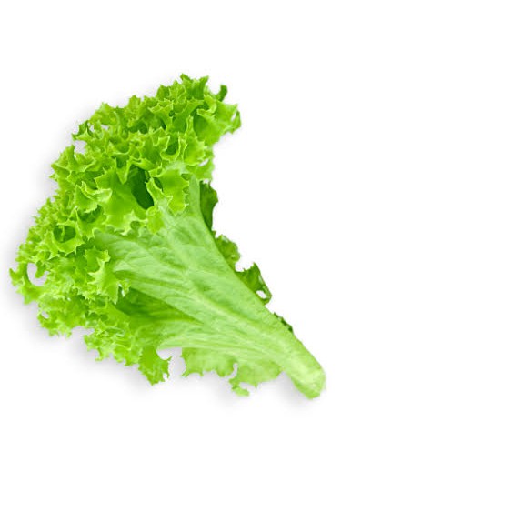 

Selada segar Per Ikat