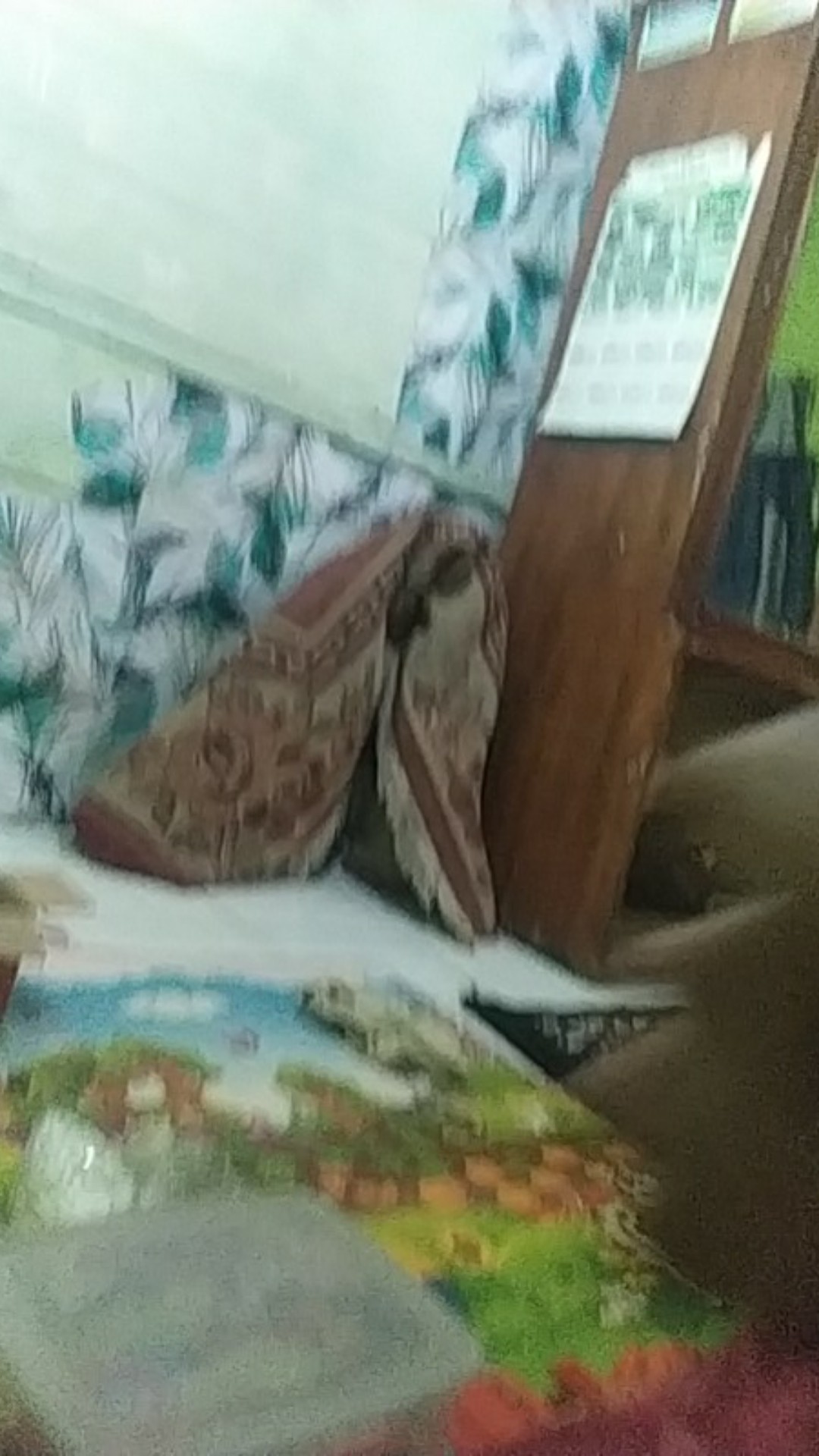 Packing Dus Tambahan