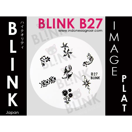 BLINK Image Plate  B22 - B33