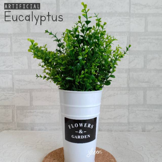 Artificial Eucalyptus / Daun Eucalyptus (belum termasuk vas)