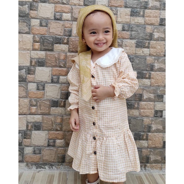 Gingham Dress