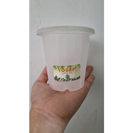 pot yogap 8 cm bening transparan