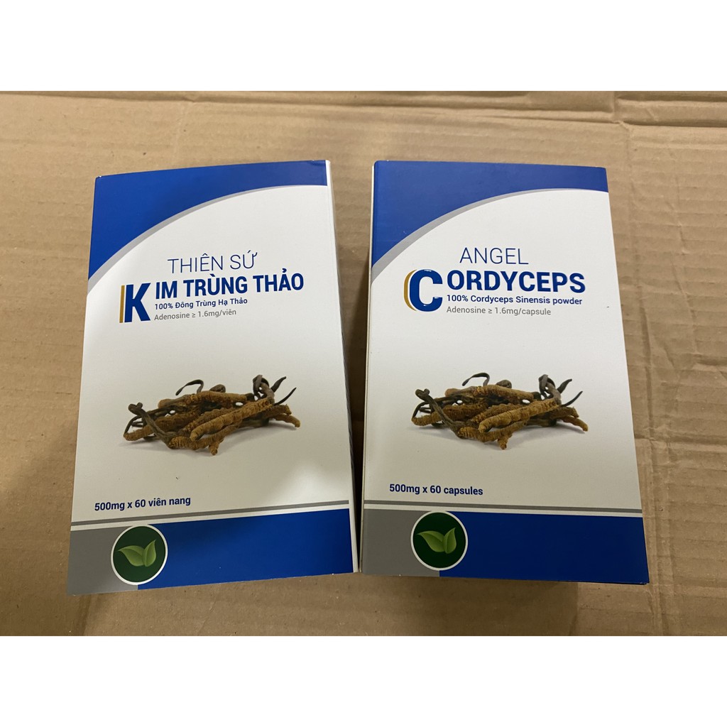 ANGEL CORDYCEPS TASLY ORIGINAL