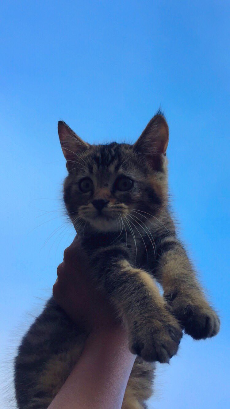 Panci Enamel Set Panci Induksi Set Royalta 4 Pcs