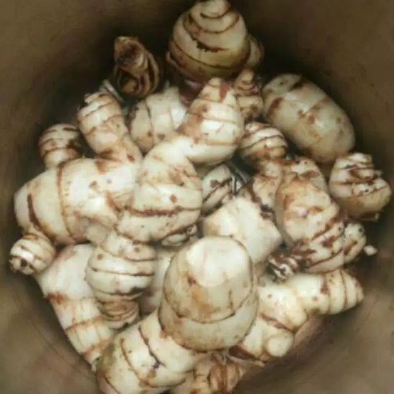 

Umbi ganyol putih 1kg