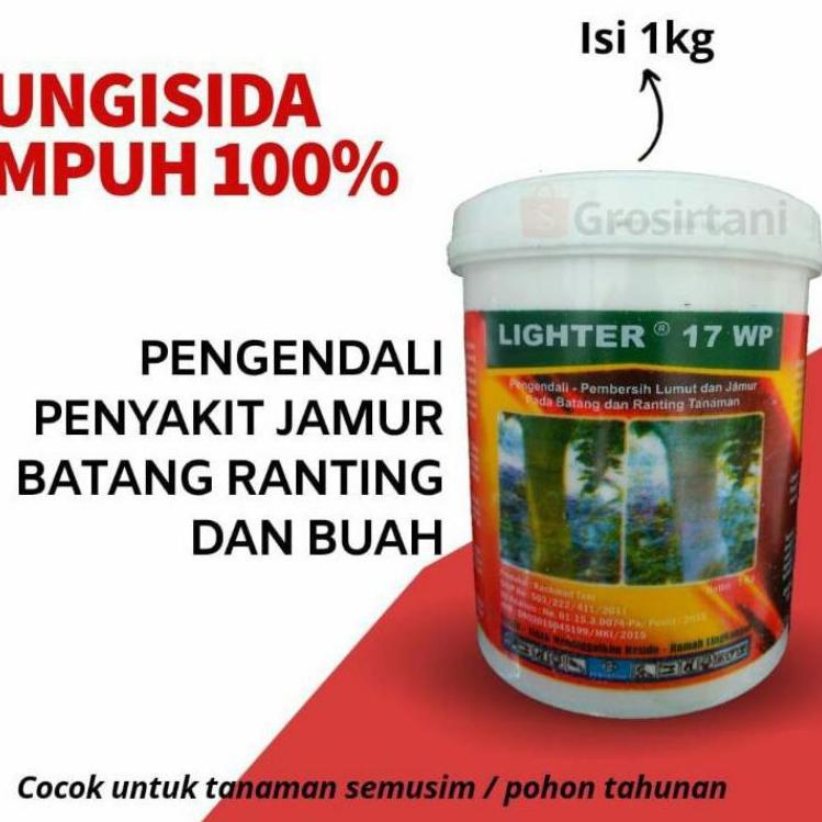 Barang Pilihan.. LIGHTER 17wp FUNGISIDA 1KG, ASLI 100%