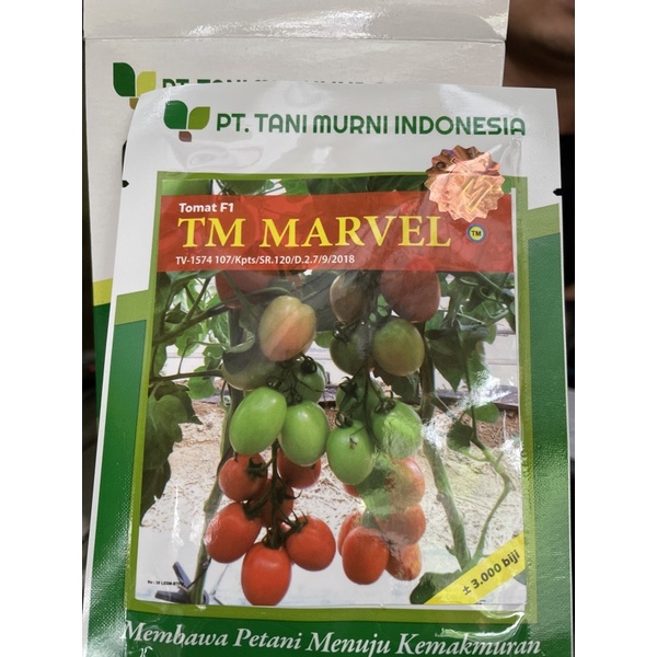Bibit tomat TM Marvel Beni tomat TM Marvel 3000biji Tani Murni