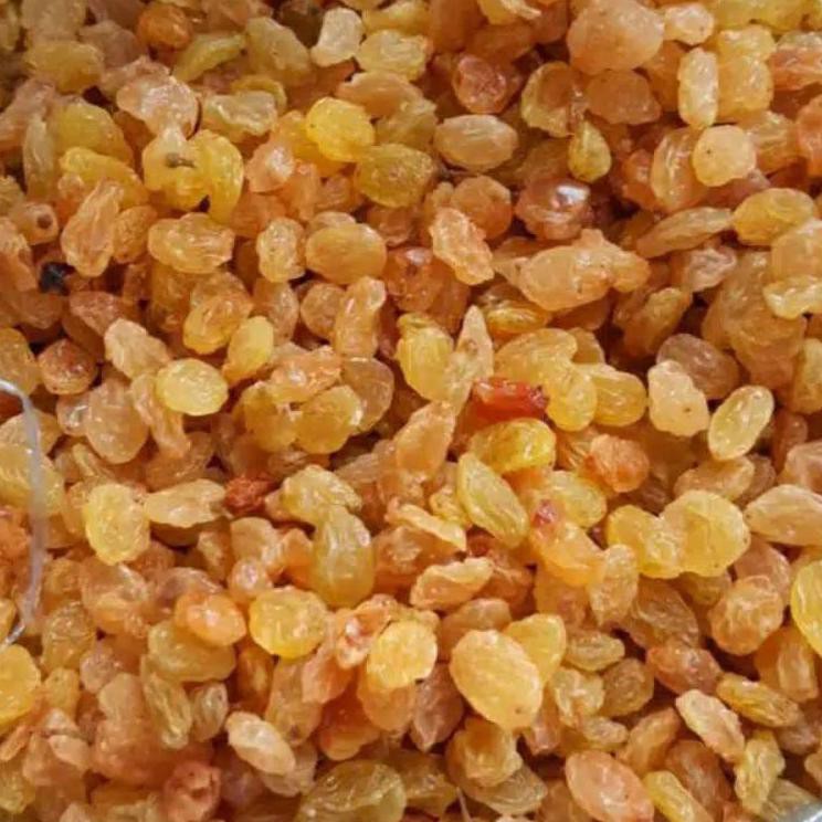 

PENAWARAN TERBAIK Kismis Golden Asam Manis 500 gram Raisin Harga Spesial