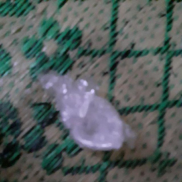 Terlaris!! Lakban 48mm X 100 Yard (1kilo Muat 6) Coklat Merah Bening Tidak Mudah Putus Dan Merekat