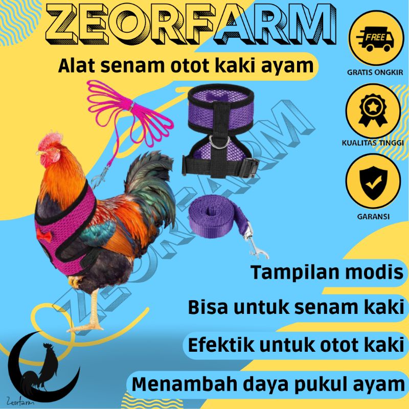 baju ayam multifungsi tali umbaran dan alat senam otot kaki menambah daya pukul ayam modis import zeorfarm