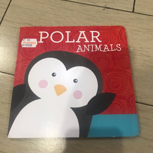 Polar Animals