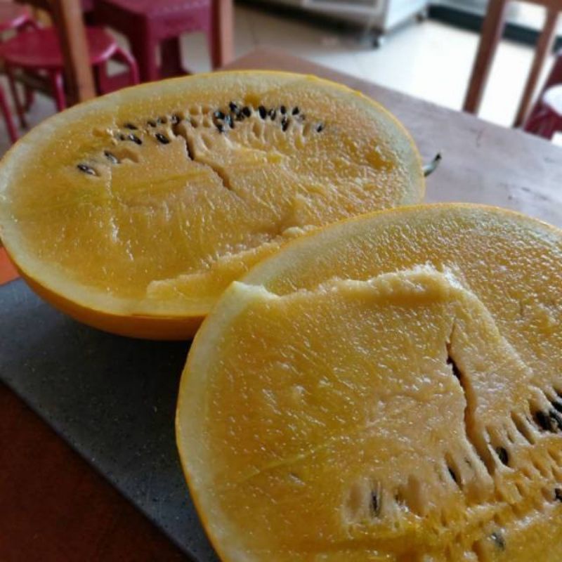 Bibit Semangka Golden F1 Hibrida - Bibit Buah