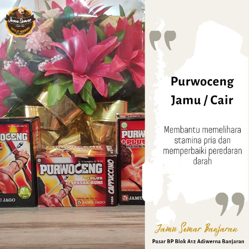 

Jamu Purwoceng Plus Pasak Bumi isi 10 sachet