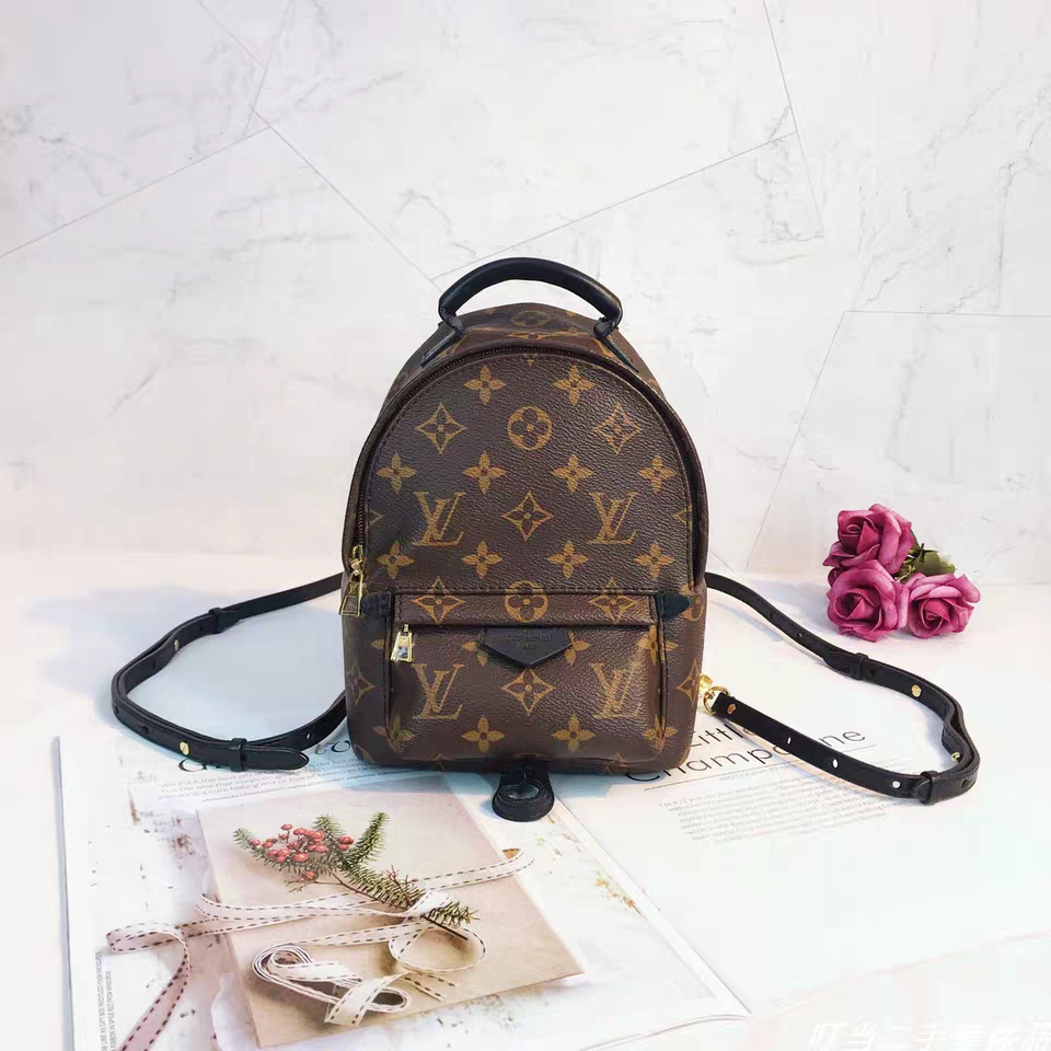 louis vuitton ransel