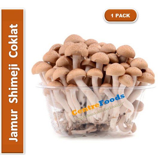 

Jamur Shimeji Coklat | Import [Berat 150gr/Pack] Harga Per PACK