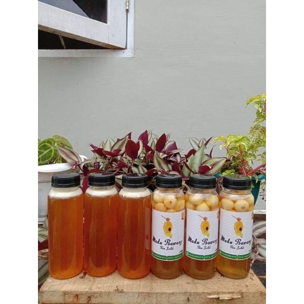 

MADU BAWANG LANANG/Madu bawang tunggal/madu bawang laki.