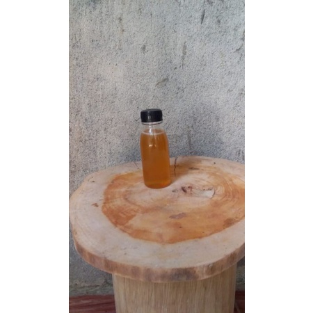 

MADU murni KLENCENG TRIGONA ITAMA 100gram