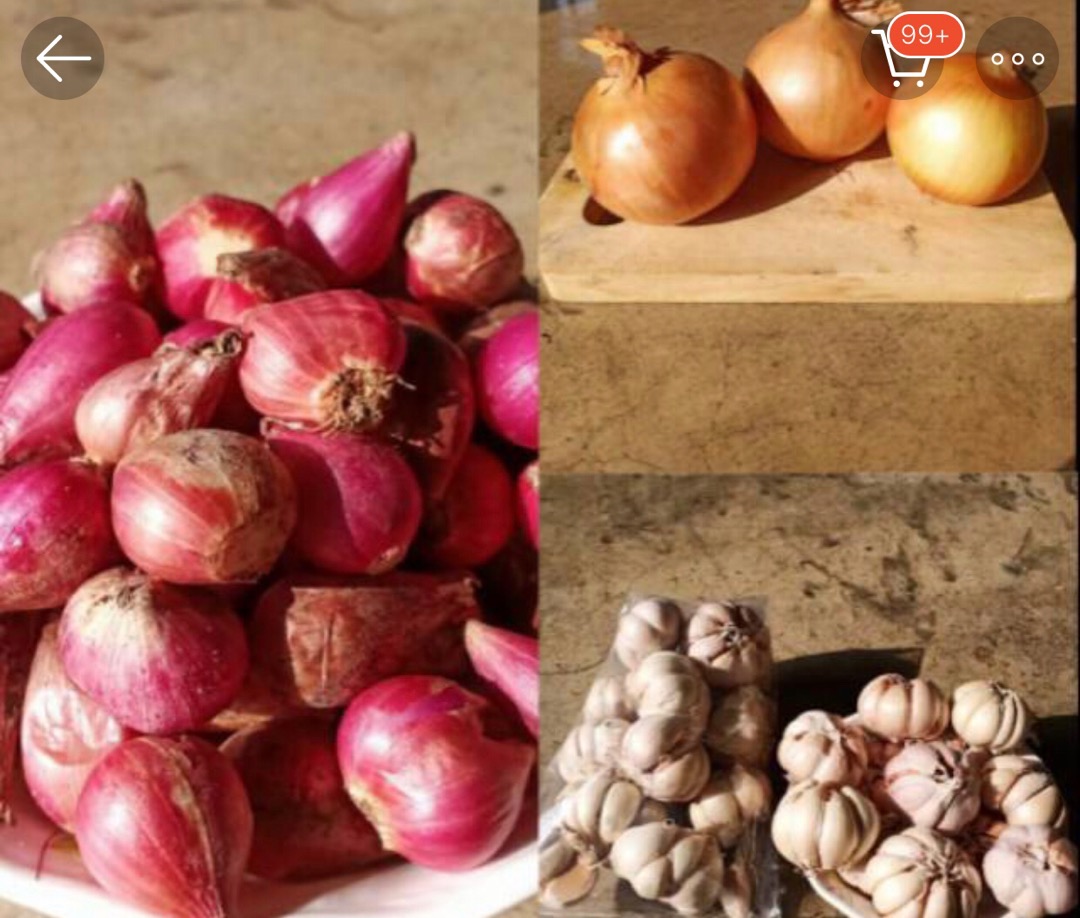 Bawang Merah Bawang Putih Utuh Bawang Bombay Shopee Bawang Merah Bawang Putih Utuh Bawang Bombay Shopee