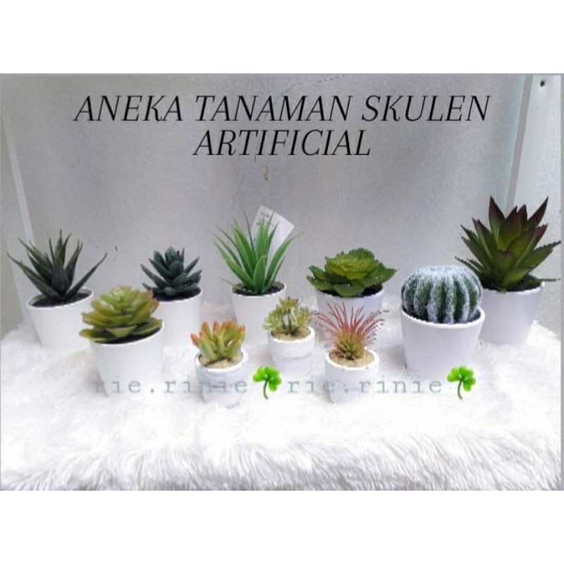 Aneka tanaman Kaktus skulen artificial imitasi palsu