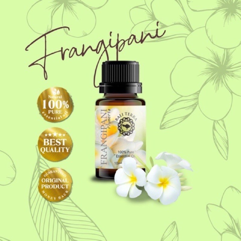 Frangipani Essential Oil | 100% Pure Essential Oil | Aromatherapy