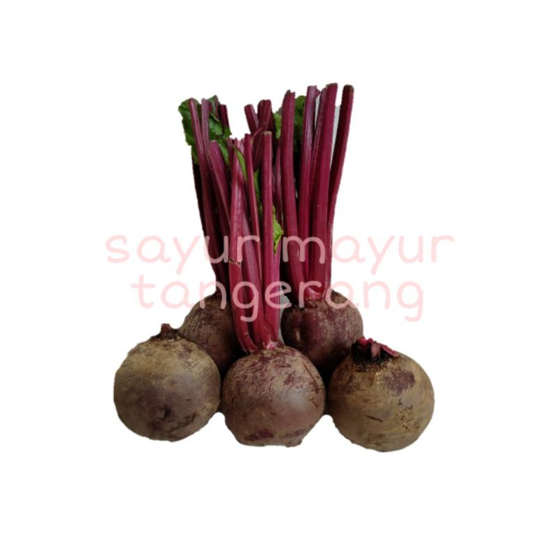 

beetroot/buahbit