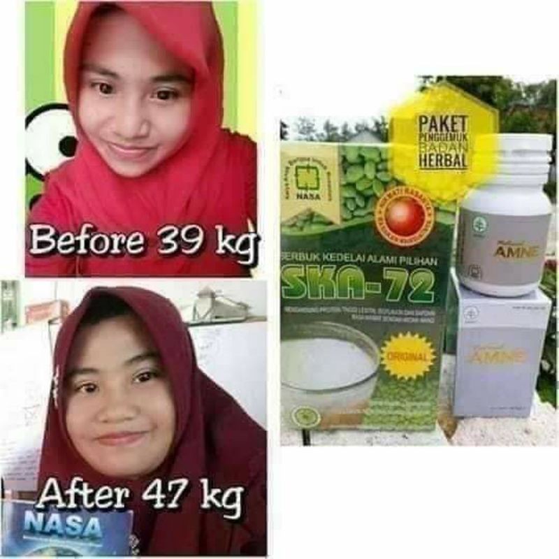 

paket gemuk ideal