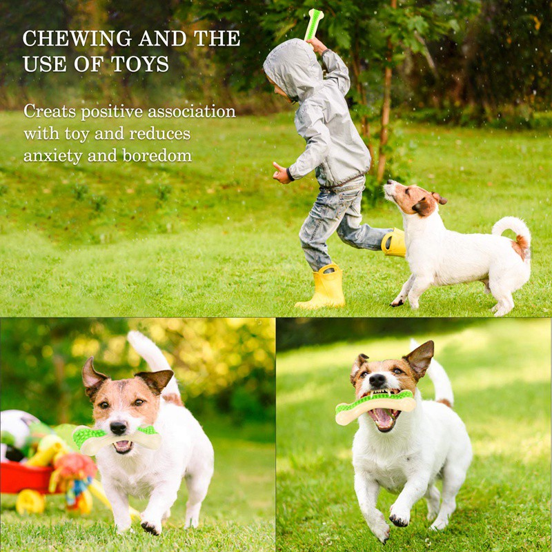 Mainan Kunyah Bentuk Sikat Gigi Untuk Anak Anjing Shopee Indonesia