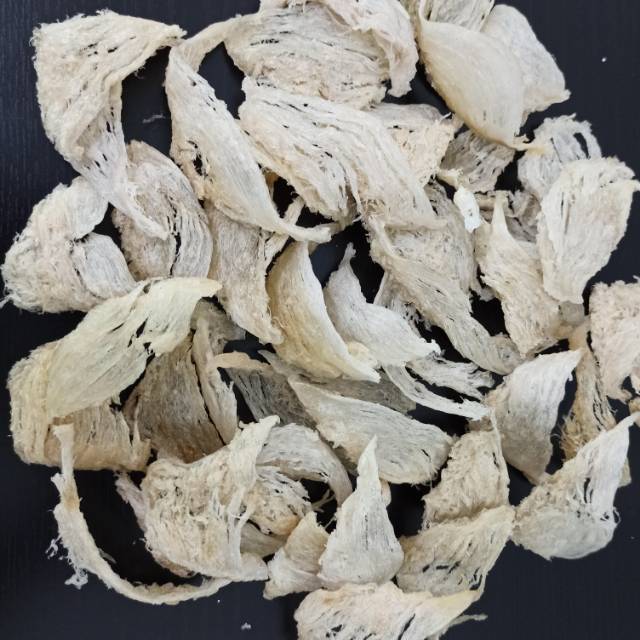 

Sarang burung walet patahan segitiga 50 gram