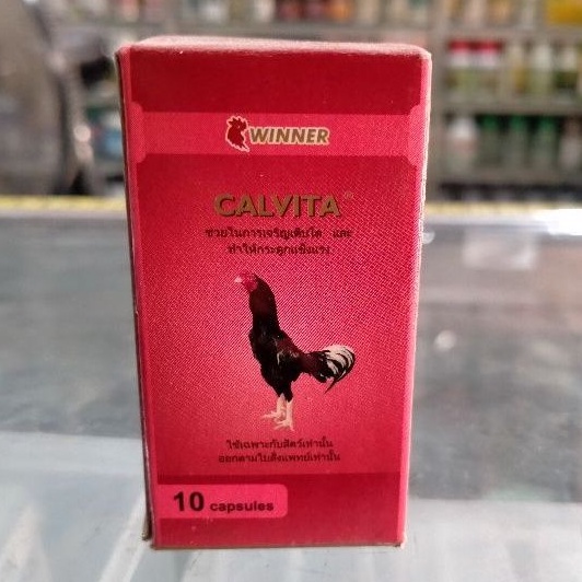 Calvita Obat Lumpuh / Penguat Tulang Ayam Laga / Ayam Bangkok