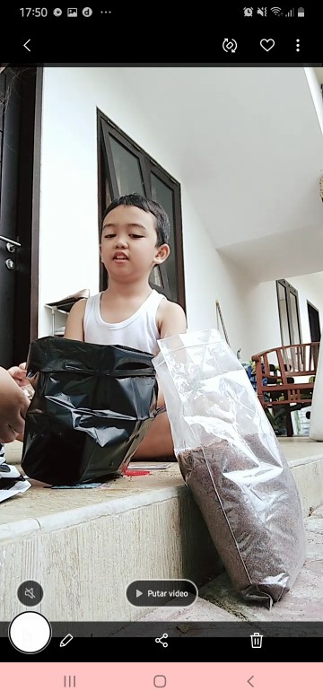 Paket Berkebun Tanam Polibag Sayuran Pg Kdr