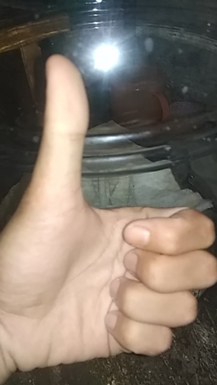 Akar Bahar Singa Jumbo