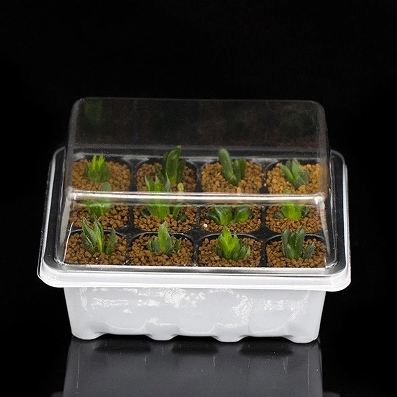 6/12 Holes Seedling Trays Seed Starter Starter Plant Flower Grow Seed Tray Box/Propagation For Gardening Grow Starting Germination Plastic Nursery Pots