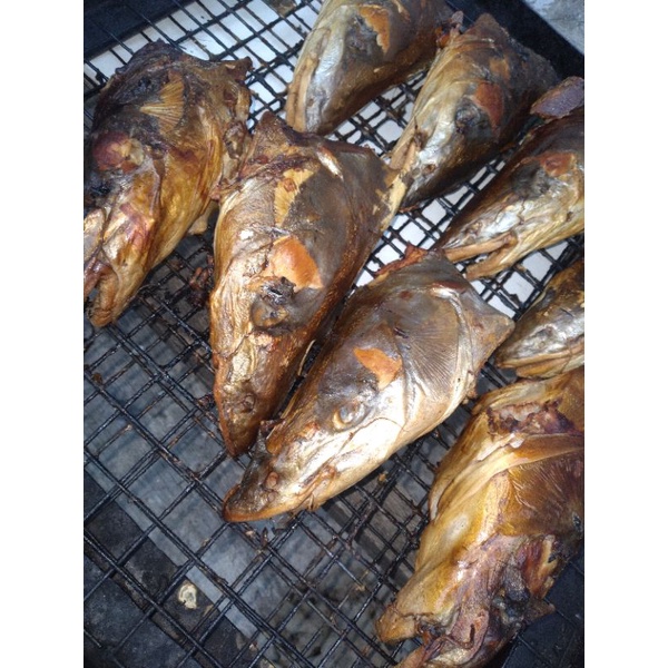 

Ikan Manyung Kepala