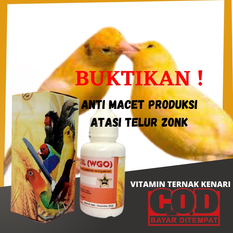 TERBUKTI Vitamin Ternak Burung Kenari. Vitamin Obat Breeding Kenari. Agar Birahi Bertelur. WGO