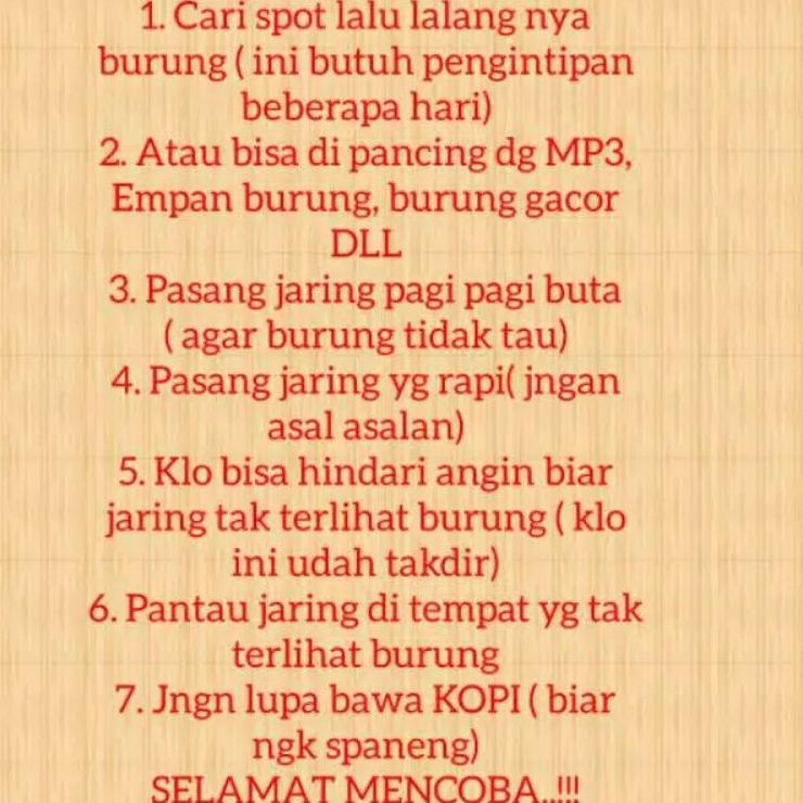Jangan Ketinggalan order..  JARING BURUNG PERKUTUT JALA PERKUTUT LOKAL JARING PIKAT KUTUT JARING JEB
