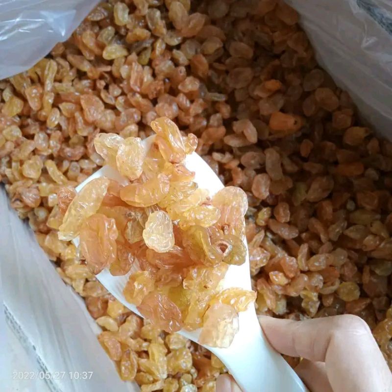

kismis asam manis golden raisin