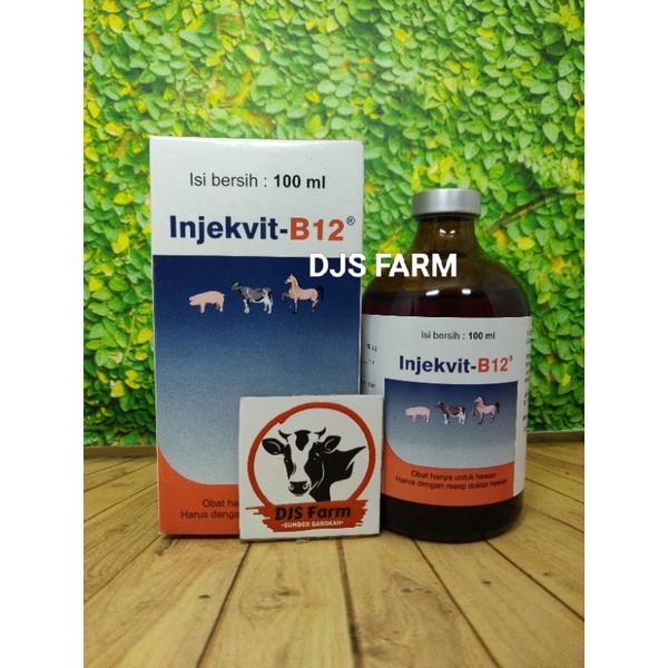 Injekvit B12 vitamin b12 medion hewan ternak sapi kambing kuda domba kerbau babi anjing djsfarm