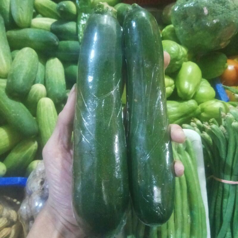 

[ 500gr ] Fresh Zucchini Zukini Segar