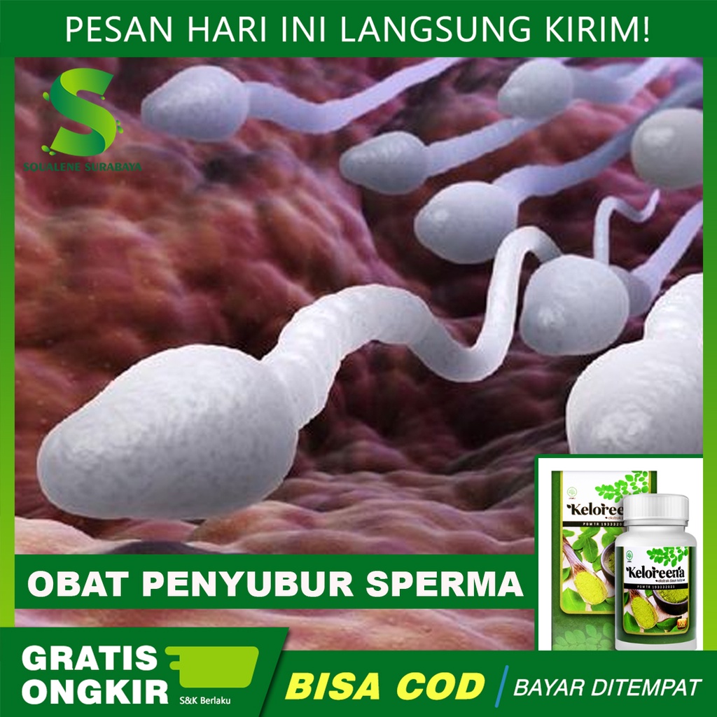 Obat Penyubur Sperma - Penyubur Sperma Pria & Wanita - Sperma Encer - Pengental Sperma - Perbanyak S