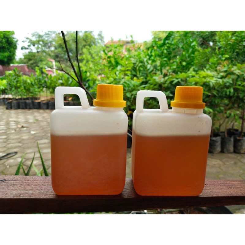 

madu bunga klengkeng 500 ml