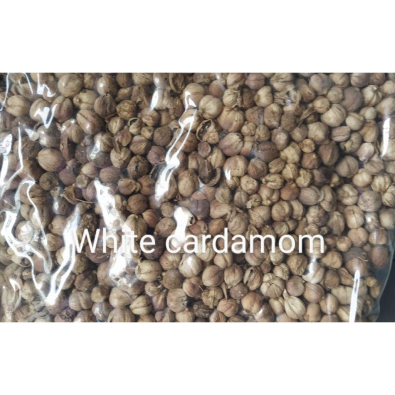 Jual Kapulaga Putih White Cardamom 1 Kg Shopee Indonesia 8335