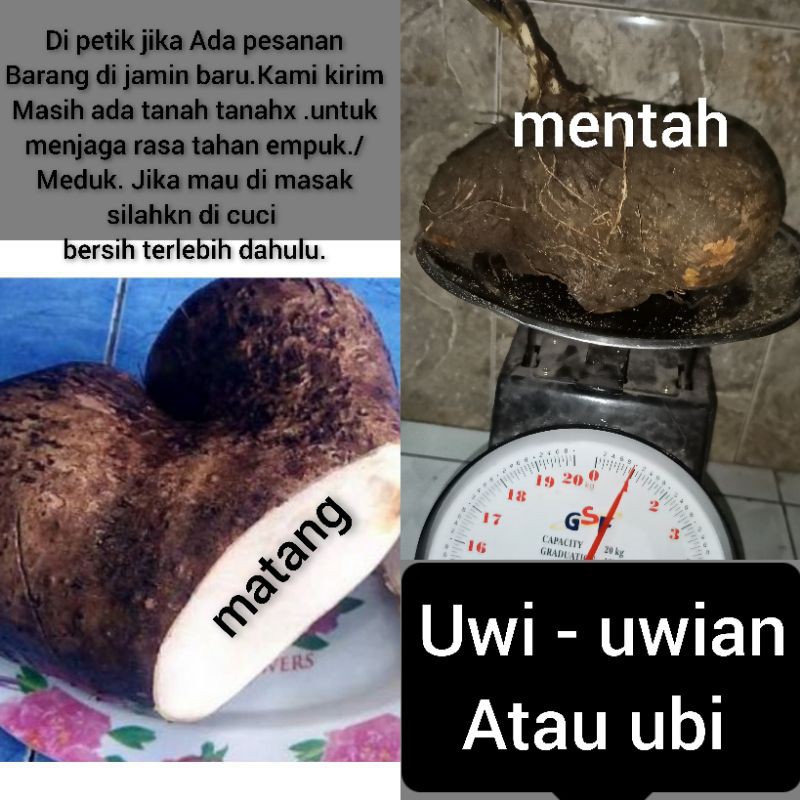 

ubi uwi uwian 1 kg fresh