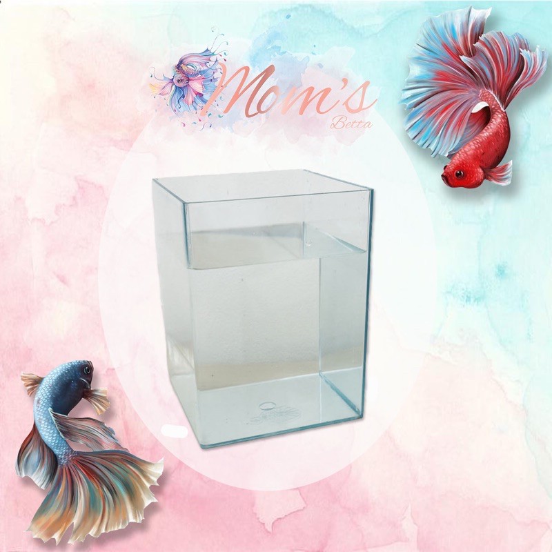 Toples 2 Liter Plastik Cupang