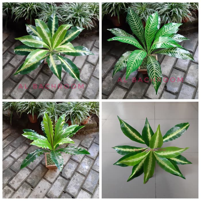 RESTOK !!! TANAMAN DAUN PLASTIK IMITASI GELOMBANG CINTA K13 - BERKUALITAS