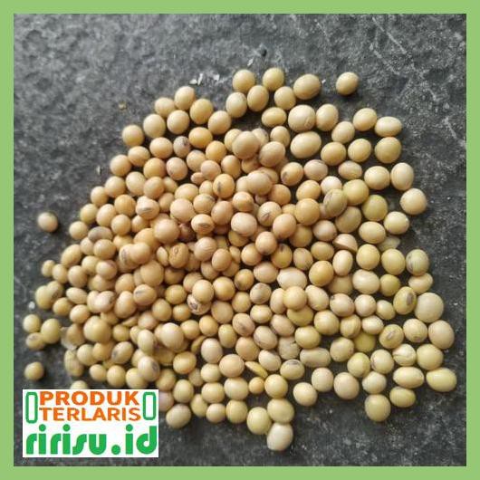 

8Tuf78F7- Biji Kacang Kedelai Super / Kacang Kedele 500Gr 7Ti7Tgjtu-