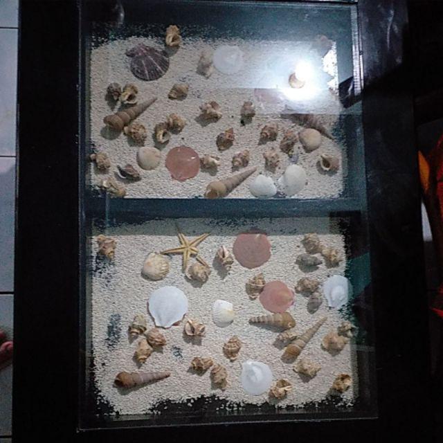 Sofa Kayu Minimalis 211 + Meja Kerang (promo Harga)