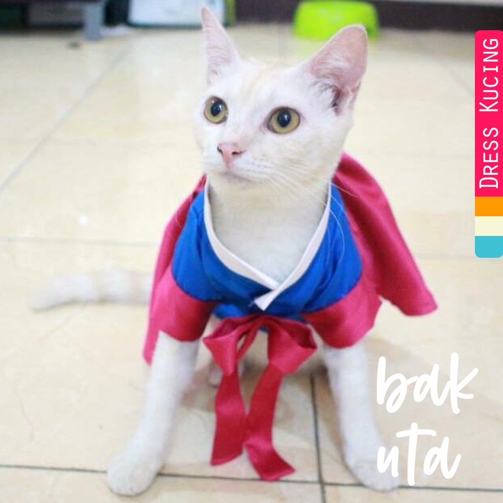 Dress hanbok tradisional untuk kucing &amp; anjing /Jual Baju Kucing Terlengkap &amp; Berkualitas size S-XL