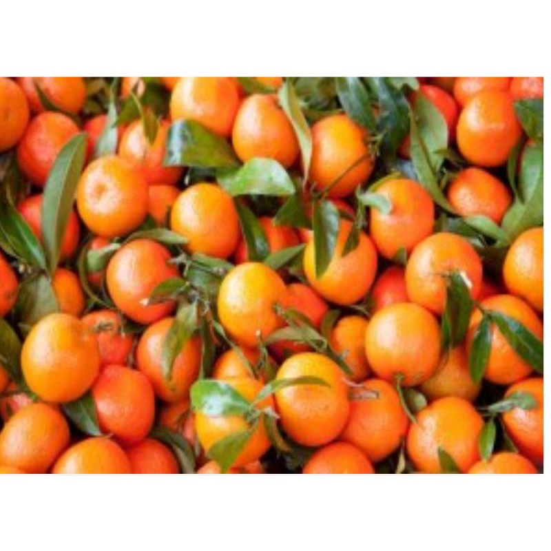 

Buah Jeruk Sunkist